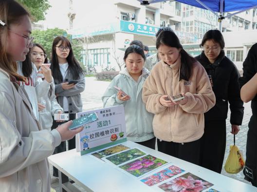 全网最精准香港资料