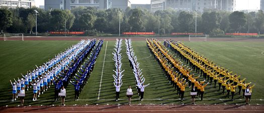 全网最精准香港资料