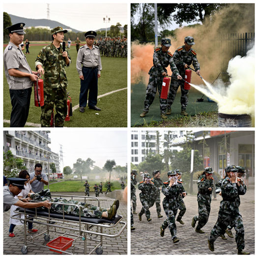 全网最精准香港资料