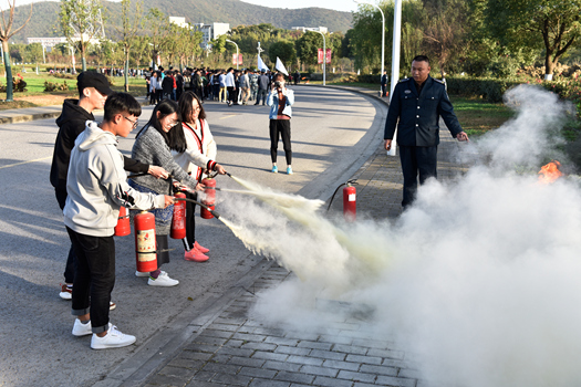 全网最精准香港资料