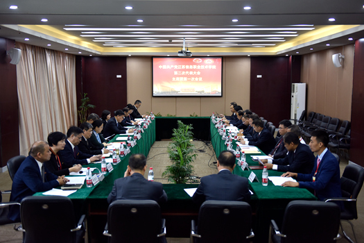 全网最精准香港资料