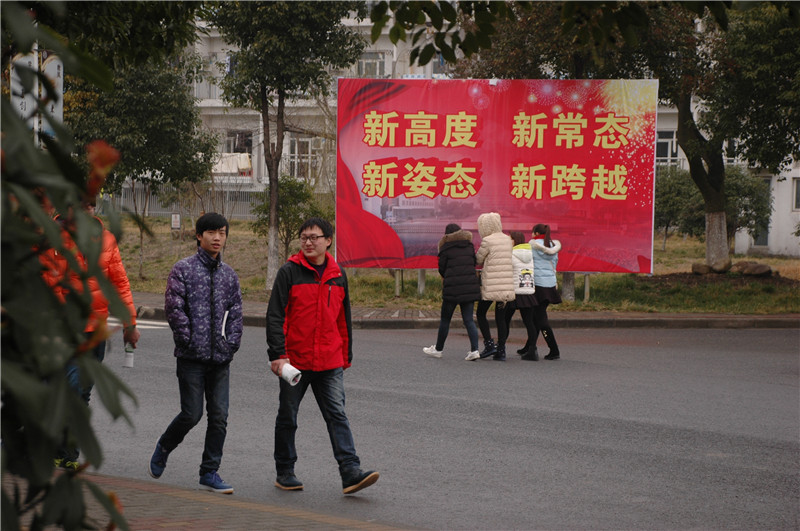 全网最精准香港资料