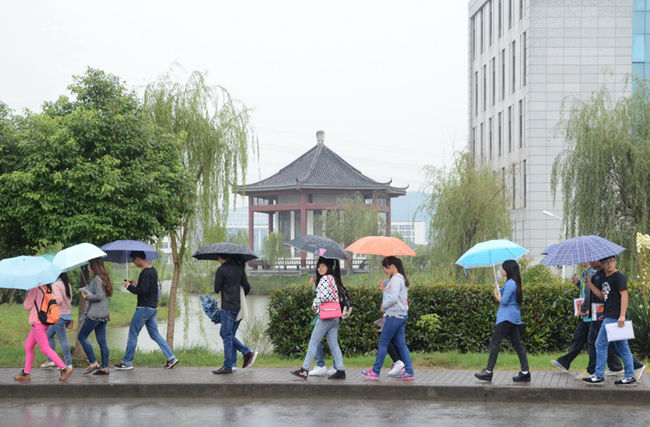 全网最精准香港资料